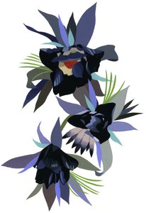 Image inconnue - Unbekannt Unbekannt